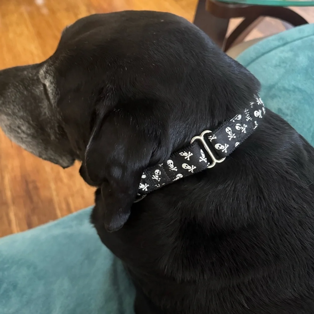 Black skull and crossbones print adjustable dog collar 22” size L/XL